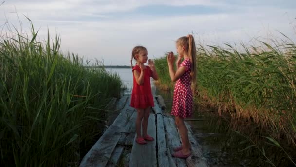 Två små söta flickor spelar Patty tårta spel, ha kul vid sjön — Stockvideo