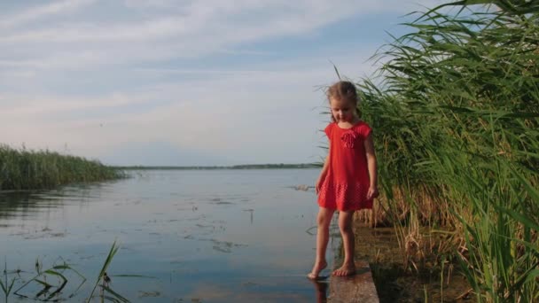 Little girl stands on old wooden pier by the lake and dips her feet in water — ストック動画