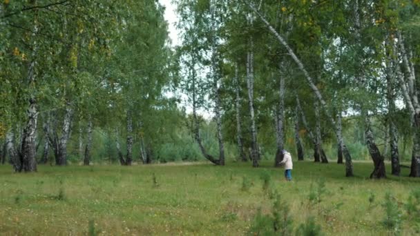 女人在秋天的森林里采摘蘑菇. 火枪手走过树林. — 图库视频影像