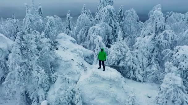 Vista aerea: l'uomo si erge in cima alla montagna circondato da boschi innevati — Video Stock