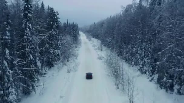 Aérea: volando detrás del coche conduciendo solo a través de un bosque helado nevado en invierno — Vídeo de stock