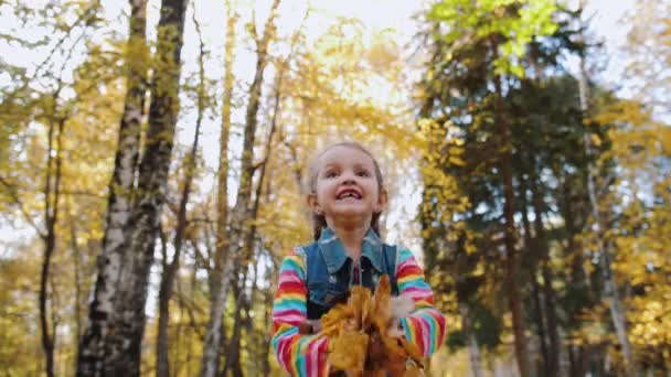 Cheerful cute little girl throws up yellow leaves in autumn forest, slow motion — Stock Video