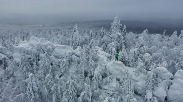 Antenne: Mann steht auf Berggipfel und genießt Rundumblick — Stockvideo