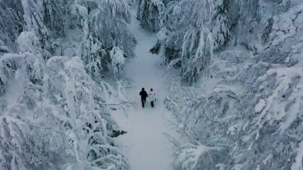 Caminhadas casal caminha através de neve profunda no inverno vista aérea da floresta nórdica — Vídeo de Stock