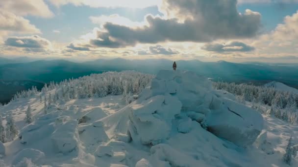 Vuelo en avión no tripulado: excursionista de pie sobre roca en la cima de la montaña nevada, disfrutando de la vista — Vídeo de stock