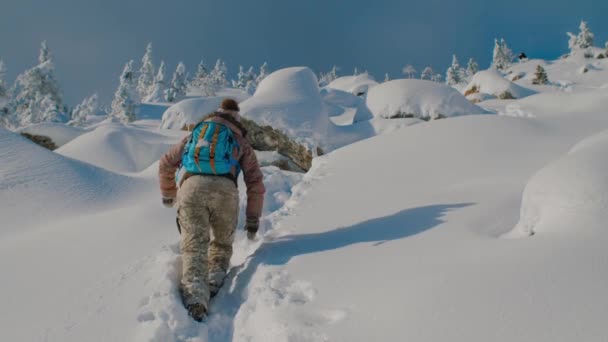 Woman hiker climbing on top of snowy mountain at sunny winter day — Stockvideo