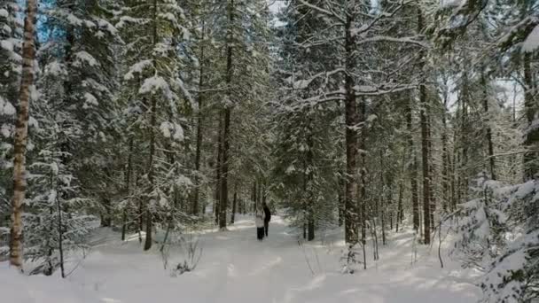 Aerial: tourists walking among snow covered trees on hiker trekking trail — Stockvideo