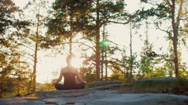Kadın yoga yapıyor, nilüferde meditasyon yapıyor. Gün doğumunda dışarıda çam ormanında poz veriyor.