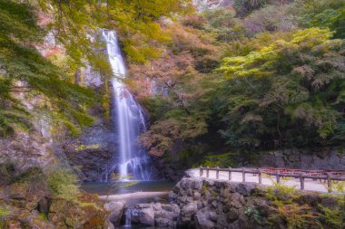 Renkli Sonbahar sezonunda Kırmızı Akçaağaç Yaprağı Yeşilliği ile Minoo Şelalesi. (Minoo Park, Osaka, Japonya).