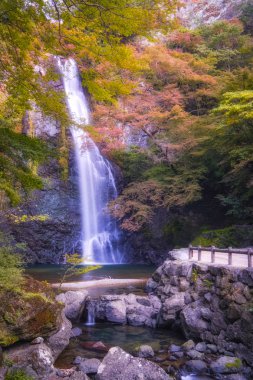 Renkli Sonbahar sezonunda Kırmızı Akçaağaç Yaprağı Yeşilliği ile Minoo Şelalesi. (Minoo Park, Osaka, Japonya).