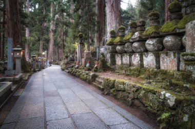 Kadim Mezarlıktaki Yol Bir Orman, Okunoin Mezarlığı, Wakayama, Japonya.