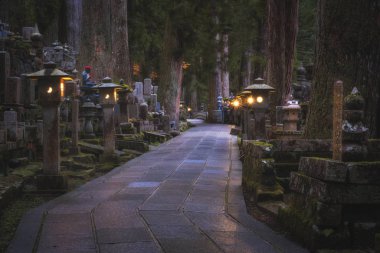 Ormanın içindeki antik mezarlık, Okunoin Mezarlığı, Wakayama, Japonya.