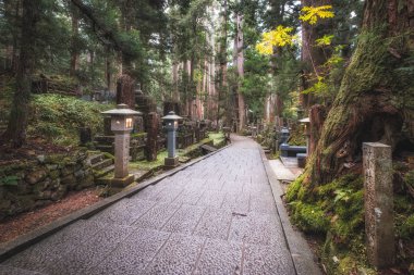 Kadim Mezarlıktaki Yol Bir Orman, Okunoin Mezarlığı, Wakayama, Japonya.