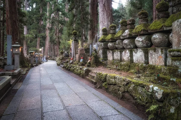 Ścieżka na starożytnym cmentarzu w lesie, Cmentarz Okunoin, Wakayama, Japonia. — Zdjęcie stockowe
