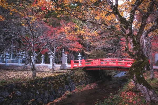 Czerwony most i jesienny las na cmentarzu Okunoin, Wakayama, Japonia. — Zdjęcie stockowe