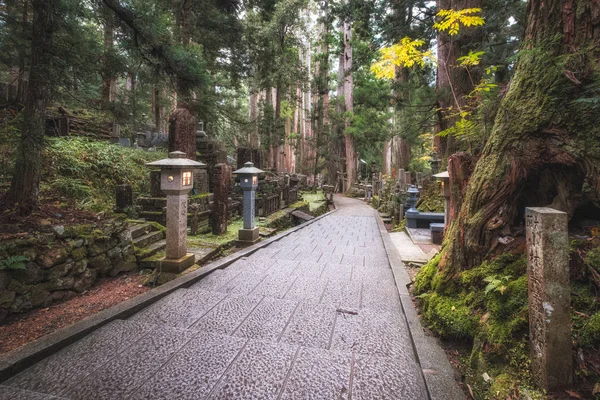 Ścieżka na starożytnym cmentarzu w lesie, Cmentarz Okunoin, Wakayama, Japonia. — Zdjęcie stockowe