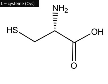 L-sistein moleküler yapısı