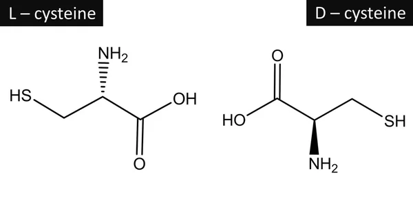 L-半胱氨酸和 D-半胱氨酸的分子结构 — 图库照片