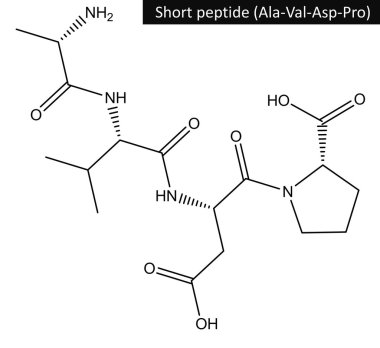 Molecular structure of short peptide clipart