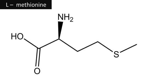 메티오닌의 분자 구조 — 스톡 사진