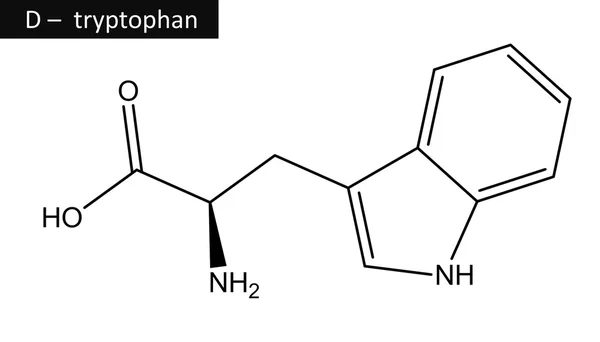 Молекулярна структура триптофана — стокове фото