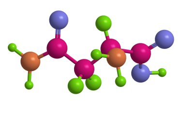 D - moleküler yapısını asparagine