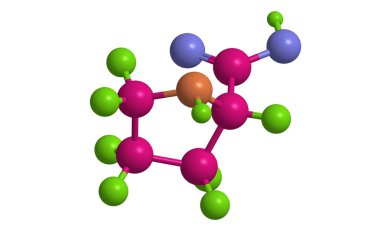 L - moleküler yapısını prolin