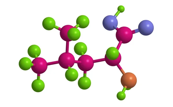 Μοριακή δομή του D - λευκίνη — Φωτογραφία Αρχείου