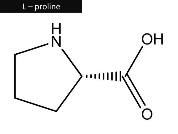 Молекулярная структура L - пролин — стоковое фото