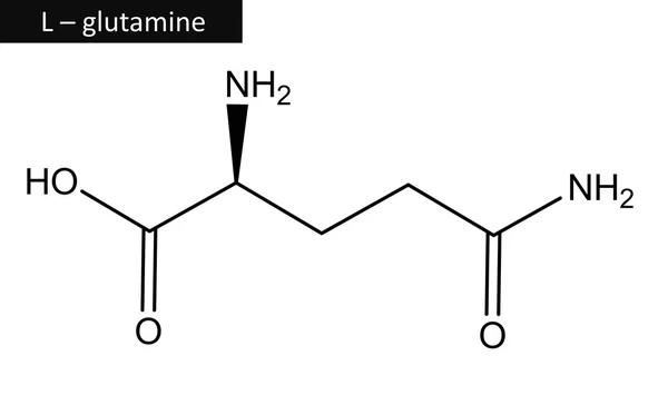 Estructura molecular de L - glutamina — Foto de Stock