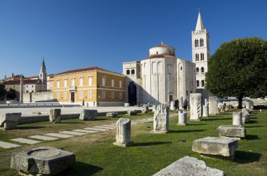 St. Donat kilise, forum ve Cathedral St. Anastasia çan kulesi Zadar, Hırvatistan