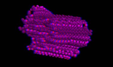 Amiloid beta - moleküler yapısını anaglif