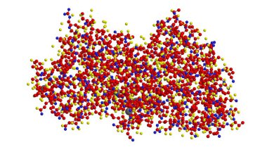 Thermolysin moleküler yapısı