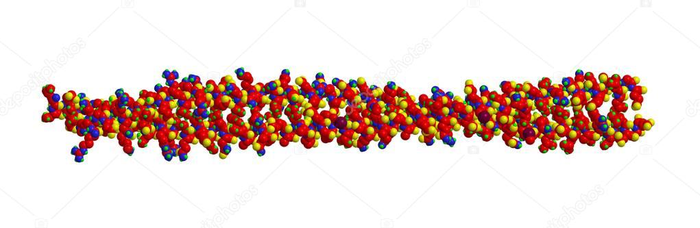 Molecular structure of Keratin