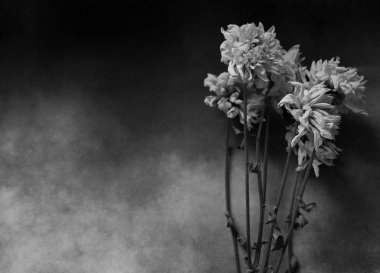 Karanlık taziye kartı  