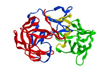 Molecular structure of pepsin, 3D rendering clipart