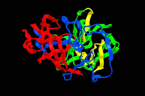 Estrutura molecular da pepsina no fundo preto, renderização 3D — Fotografia de Stock