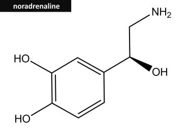 Norepinefrin moleküler yapısı