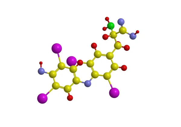 Estructura molecular de la tiroxina, representación 3D —  Fotos de Stock