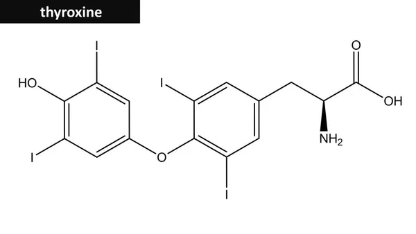 Molecular structure of thyroxine — Stock Photo, Image