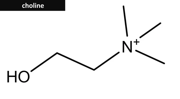 Molekulare Struktur von Cholin — Stockfoto