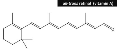 Retina (A vitamini moleküler yapısı)