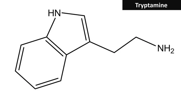 Molekularna struktura tryptaminy — Zdjęcie stockowe