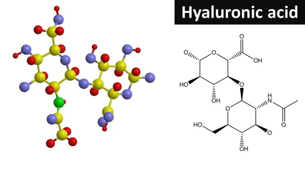 Molekulare Struktur von Hyaluronsäure, 3D-Rendering — Stockfoto