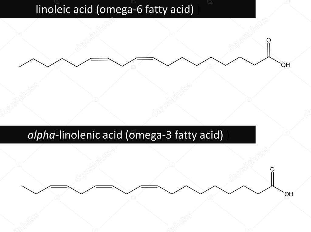 Molecular structure of linoleic and alphalinolenic acid — Stock Photo