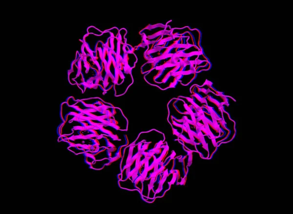 Estructura molecular del componente P del amiloide sérico, representación 3D — Foto de Stock