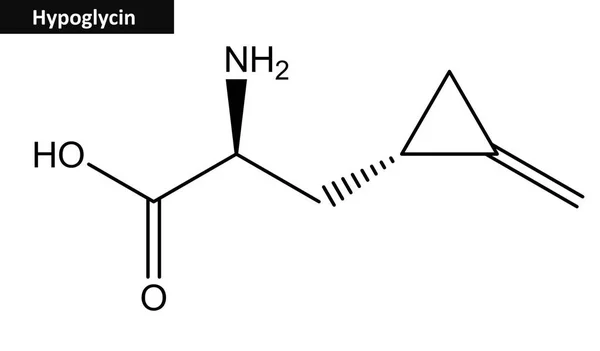 Estructura molecular de la hipoglicina — Foto de Stock