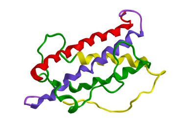 Büyüme hormonu (somatotropin), 3d render moleküler yapısı