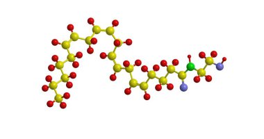 Anandamide moleküler yapısı