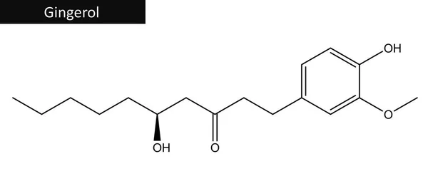 Molekuláris szerkezete Gingerol — Stock Fotó